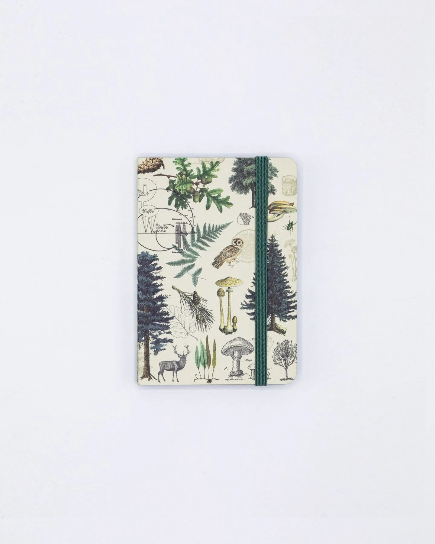 Into the Forest Observation Softcover