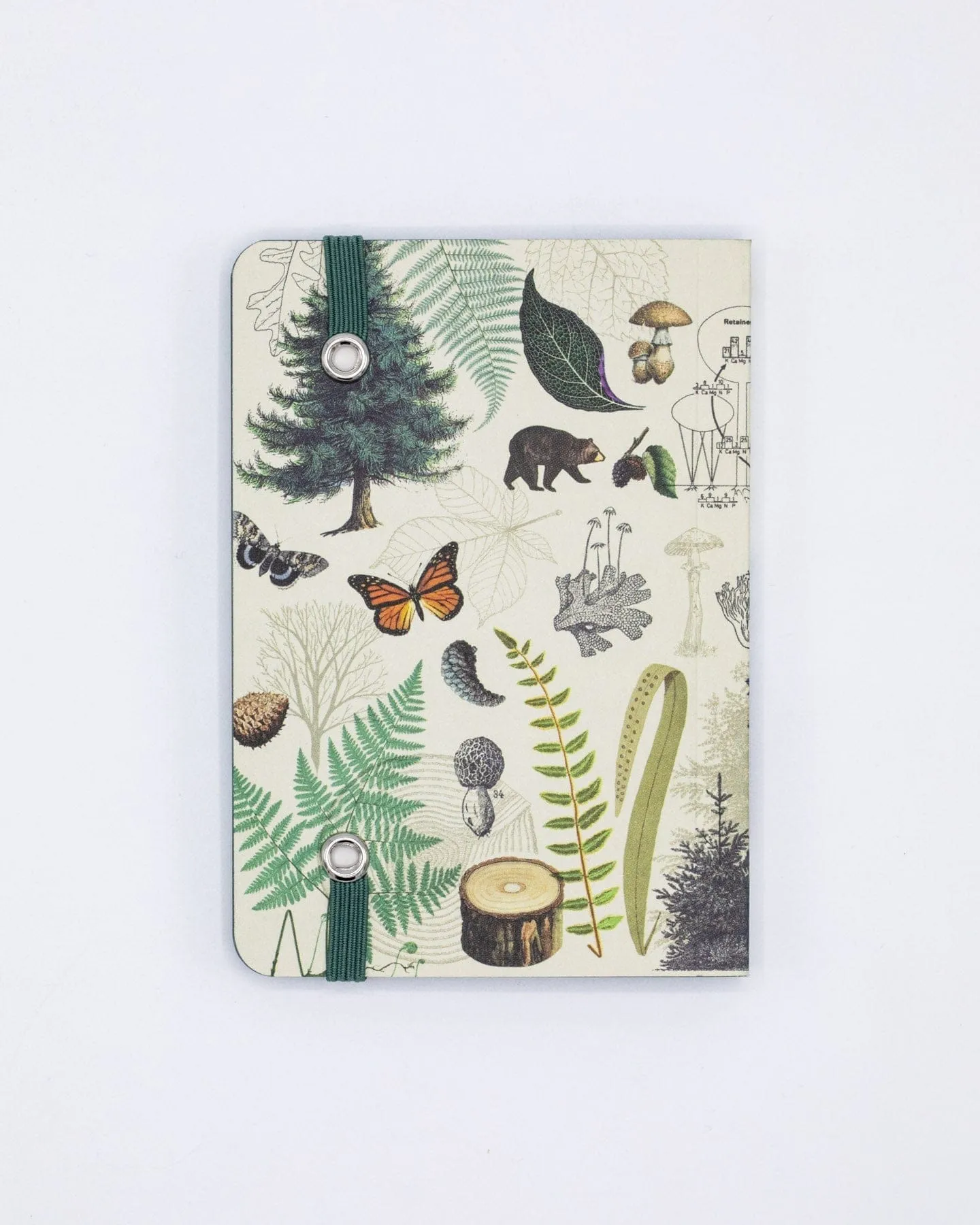Into the Forest Observation Softcover