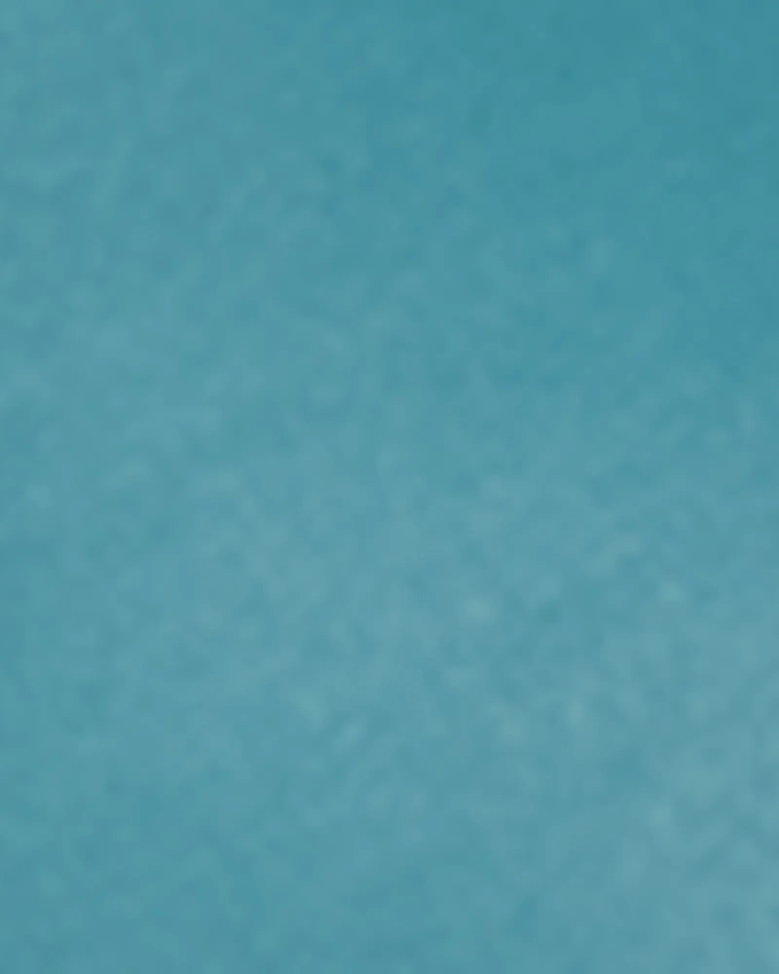 Lunersee Sports Bra | Teal / Black